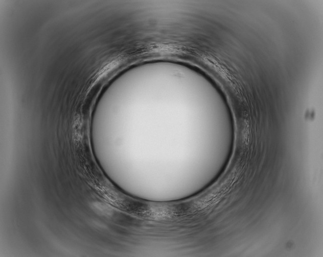 X0000101231258200806271503