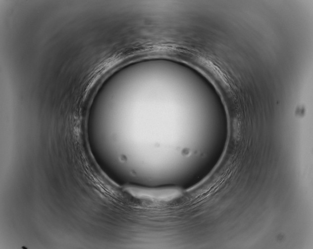 X0000101231260200806271503