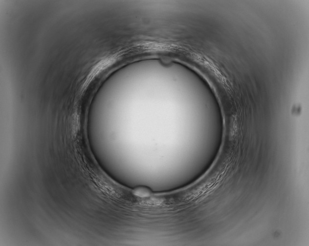 X0000101231261200806271503