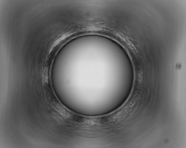 X0000101231262200806271503