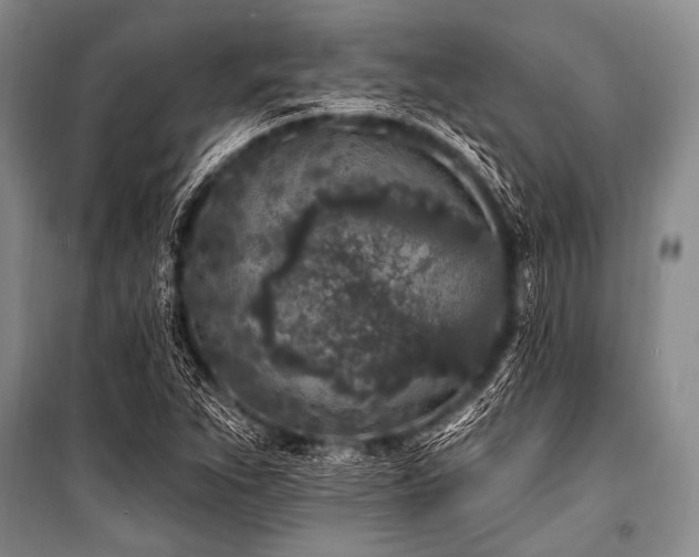 X0000101231263200806271503