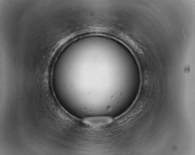 X0000101231264200806271503
