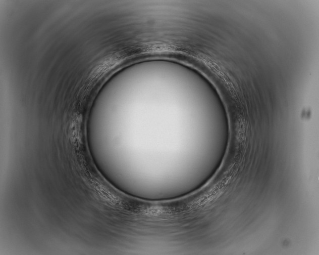 X0000101231265200806271503
