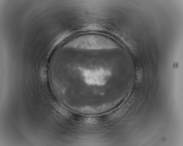 X0000101231266200806271503