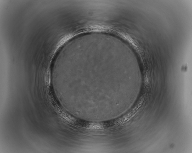 X0000101231267200806271503