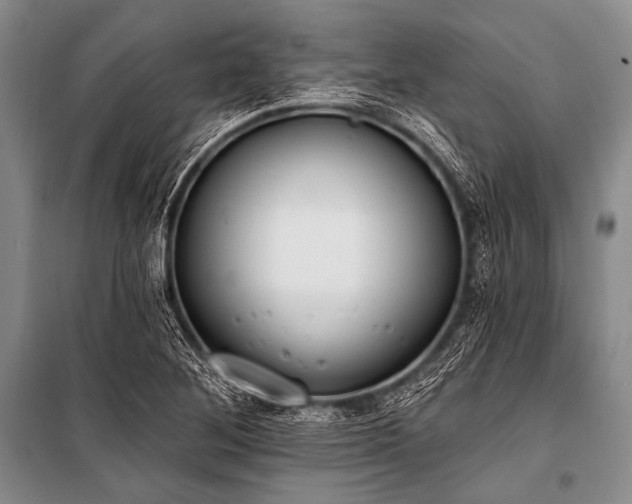 X0000101231268200806271503