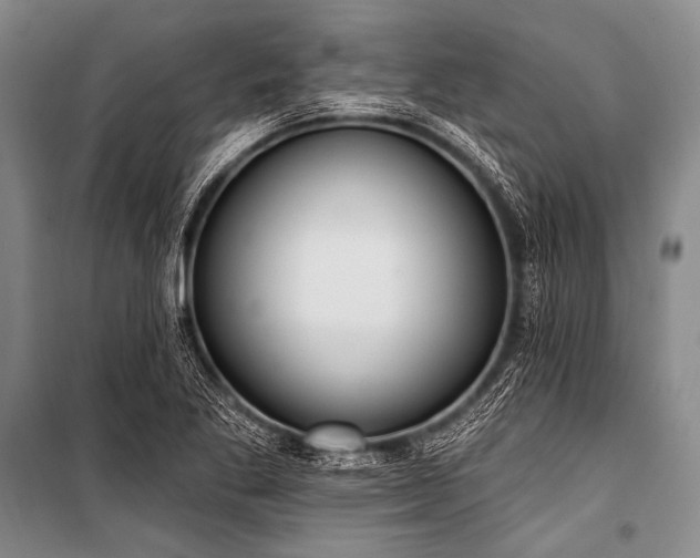 X0000101231269200806271503
