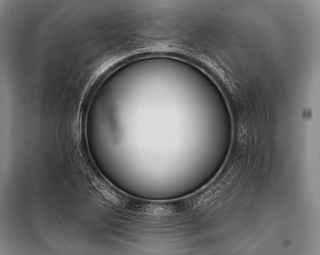 X0000101231270200806271503