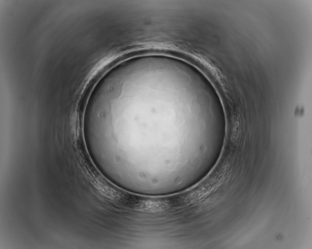 X0000101231271200806271503