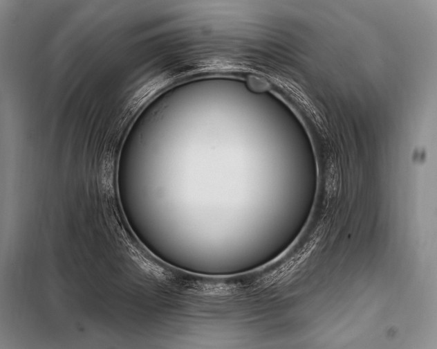 X0000101231273200806271503