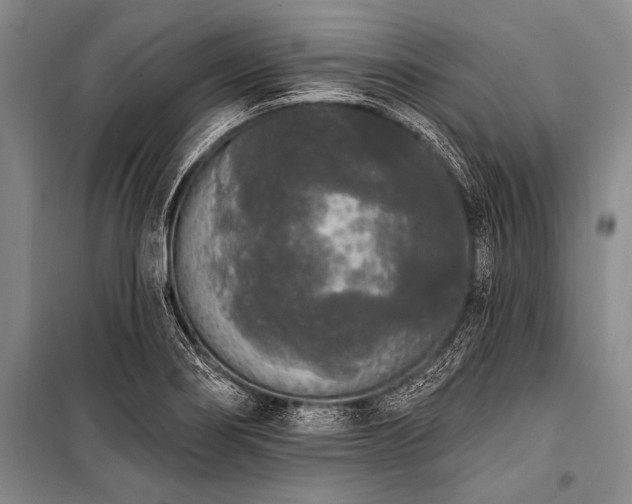 X0000101231274200806271503