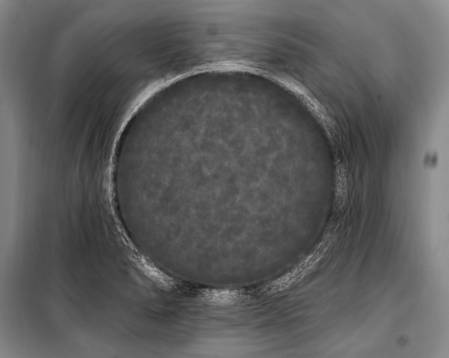 X0000101231278200806271503