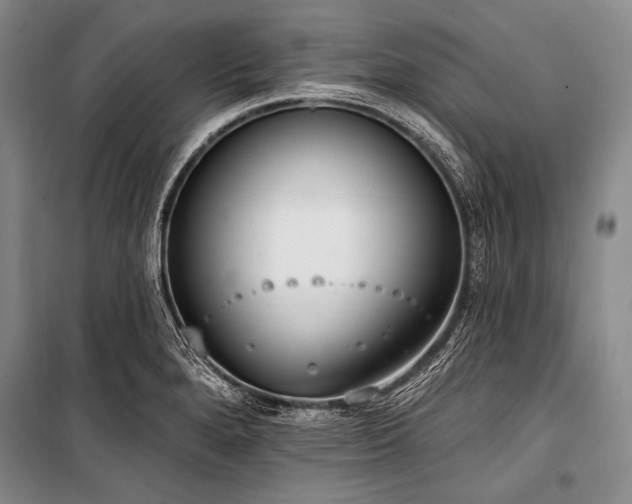 X0000101231280200806271503
