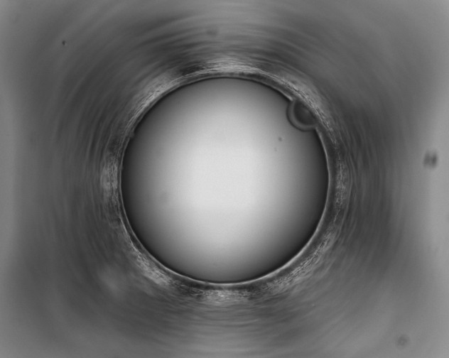 X0000101231281200806271503