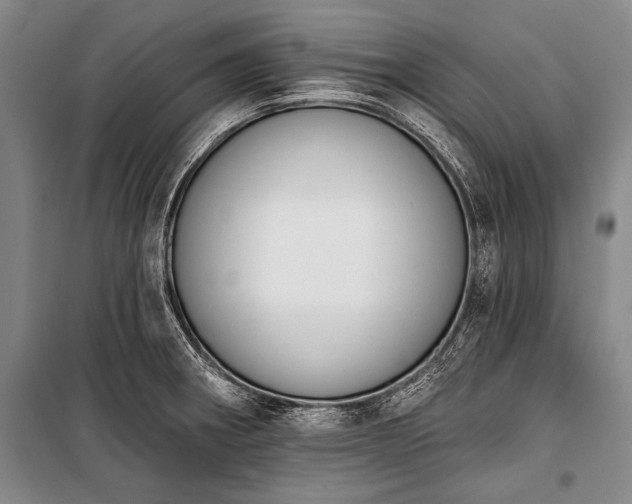 X0000101231282200806271503