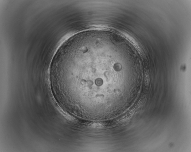 X0000101231283200806271503