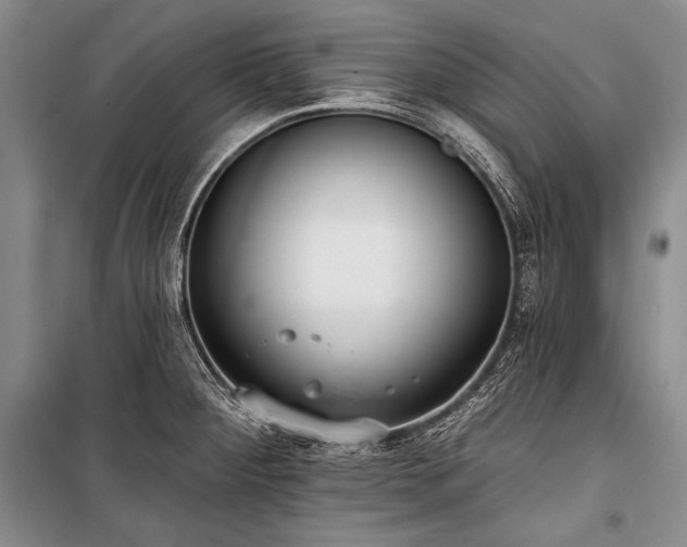 X0000101231284200806271502