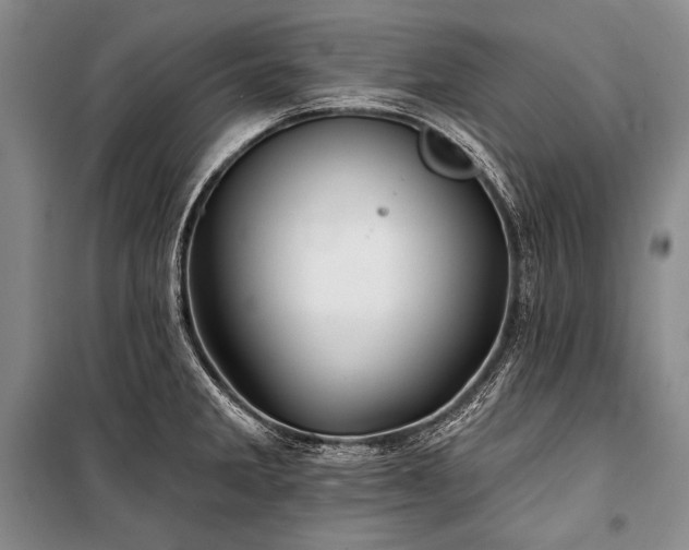 X0000101231285200806271502