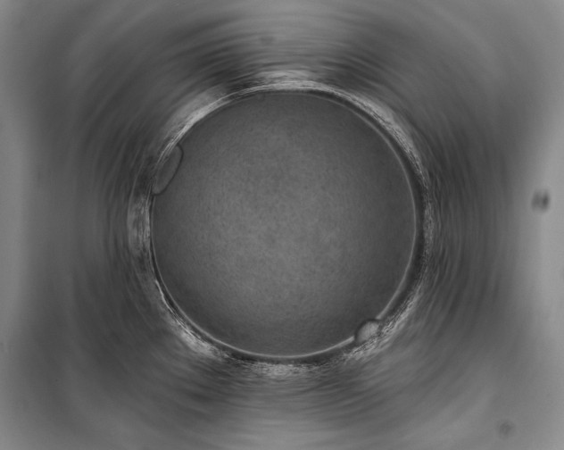 X0000101231289200806271502