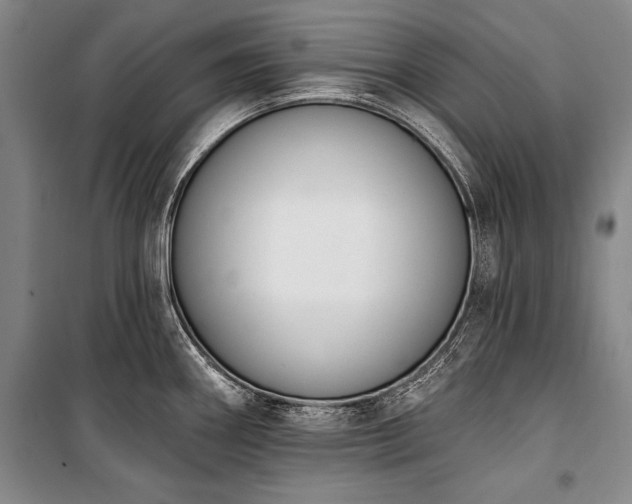 X0000101231290200806271502