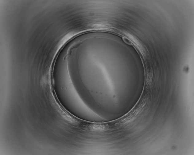 X0000101231291200806271502