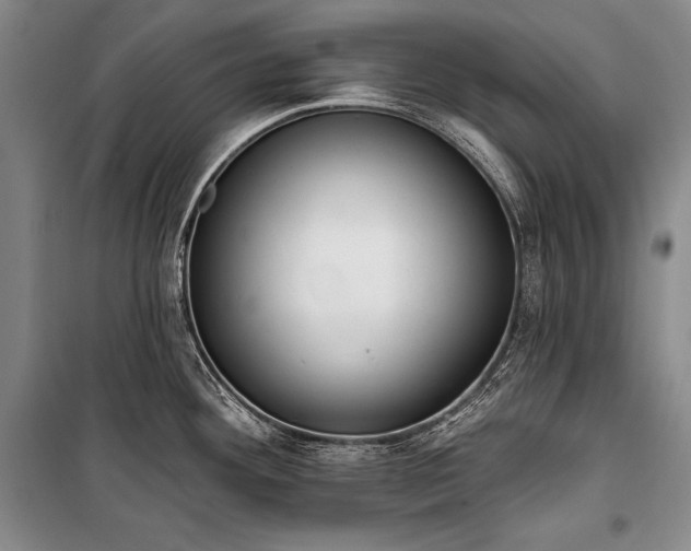 X0000101231292200806271502