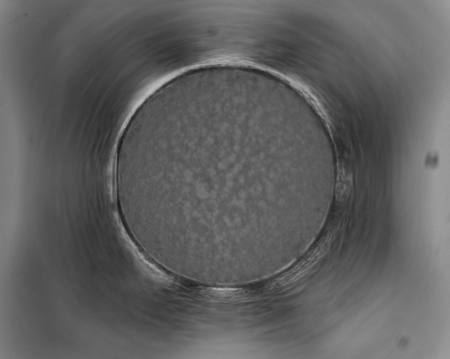 X0000101231295200806271502