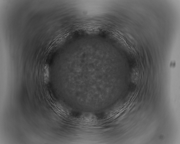 X0000101231298200806271502