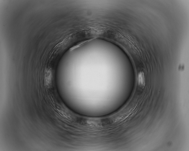 X0000101231299200806271502