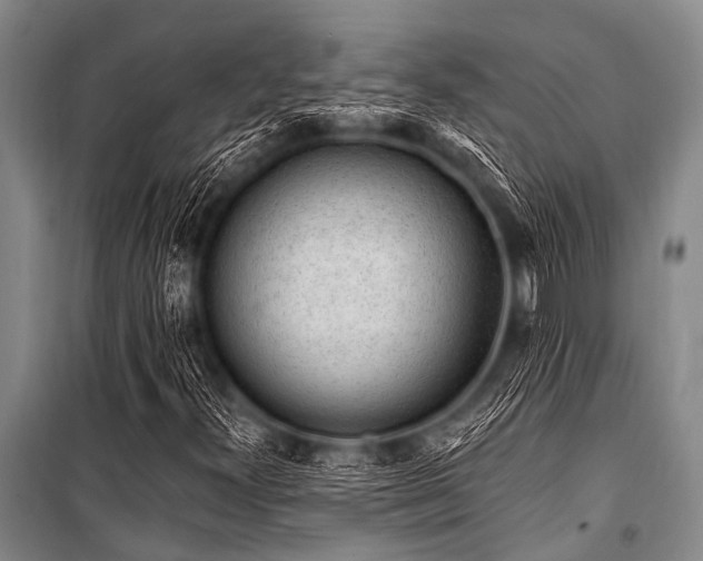X0000101231300200806271502