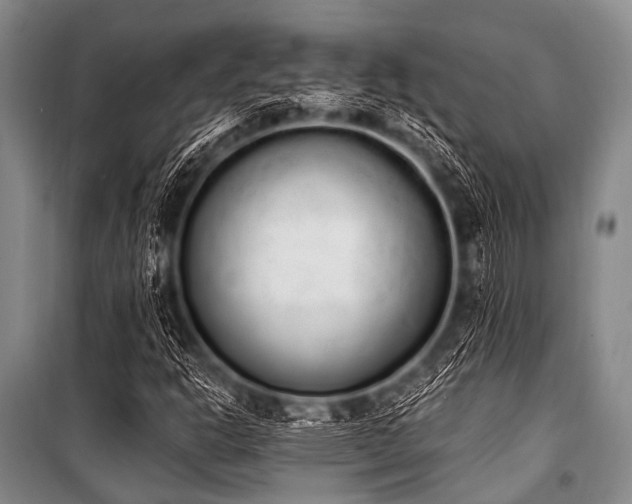 X0000101231302200806271502
