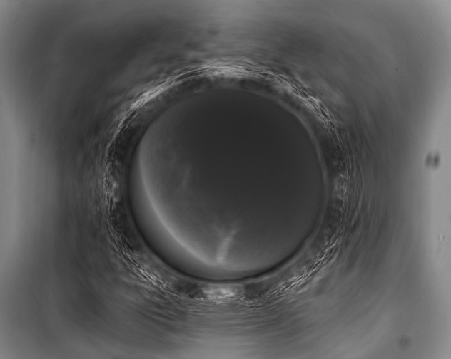 X0000101231303200806271502