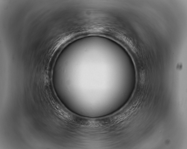 X0000101231308200806271502