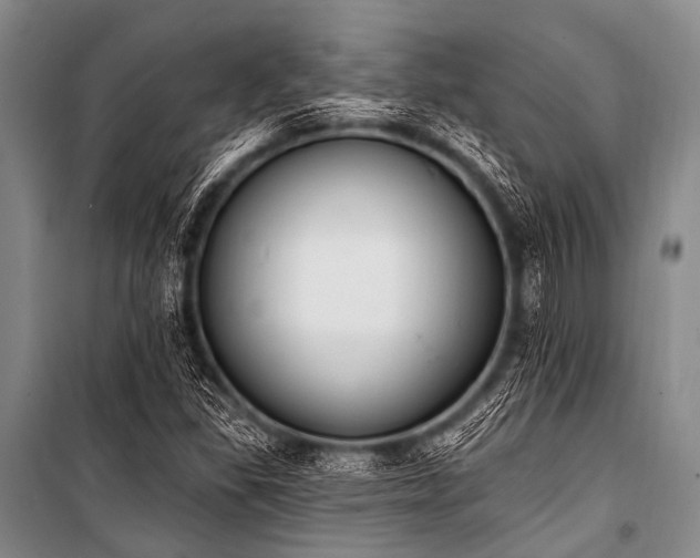 X0000101231309200806271502