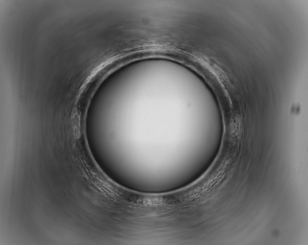 X0000101231310200806271502