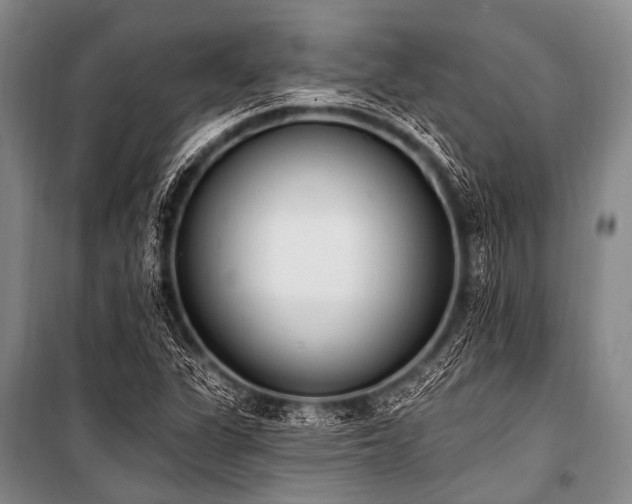 X0000101231311200806271502