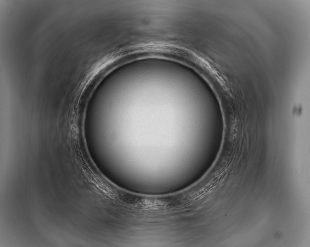 X0000101231312200806271502