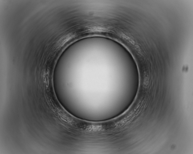 X0000101231313200806271502