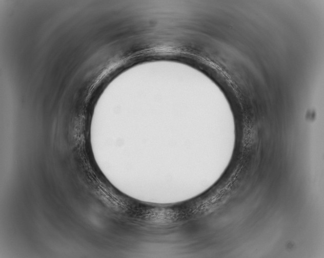 X0000101231314200806271502