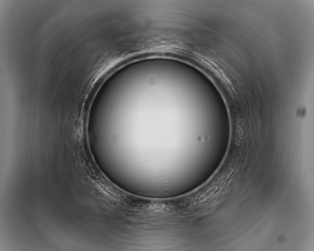 X0000101231316200806271502