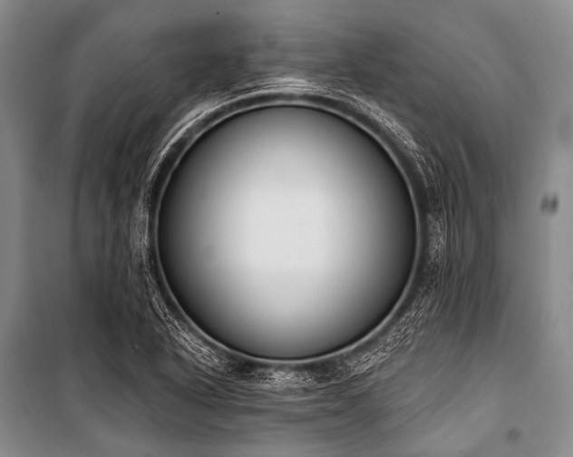 X0000101231318200806271502