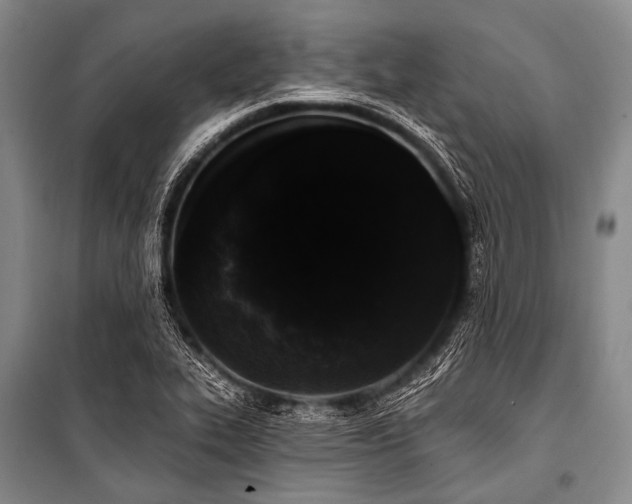 X0000101231319200806271502