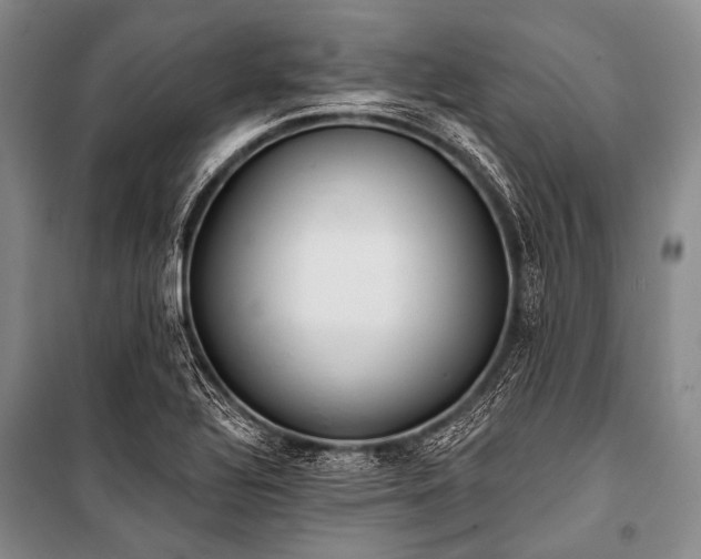 X0000101231320200806271502