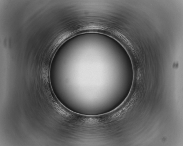 X0000101231321200806271502