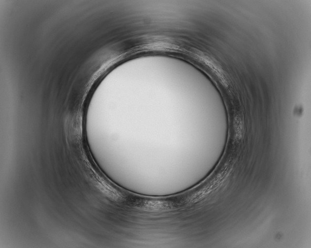 X0000101231322200806271502