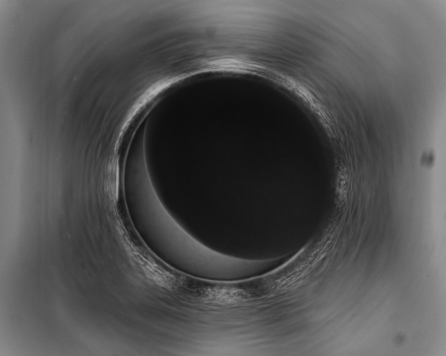 X0000101231323200806271502