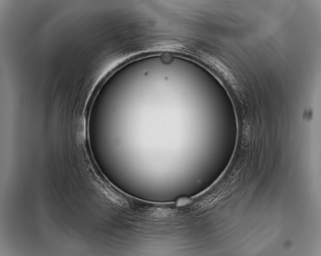 X0000101231324200806271502