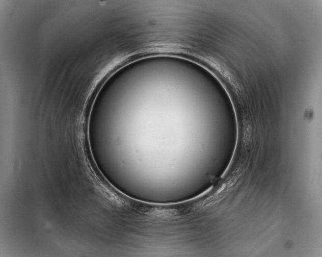 X0000101231325200806271502