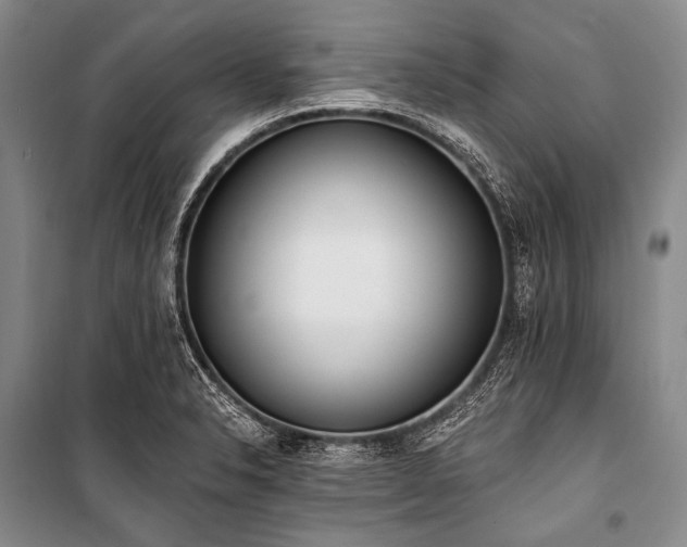 X0000101231326200806271502