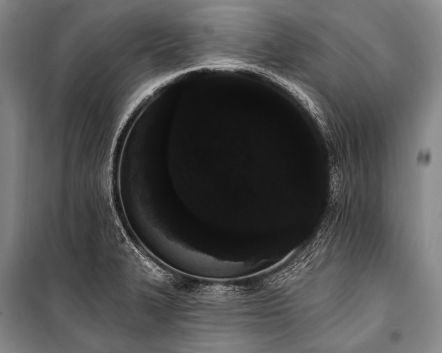 X0000101231327200806271502